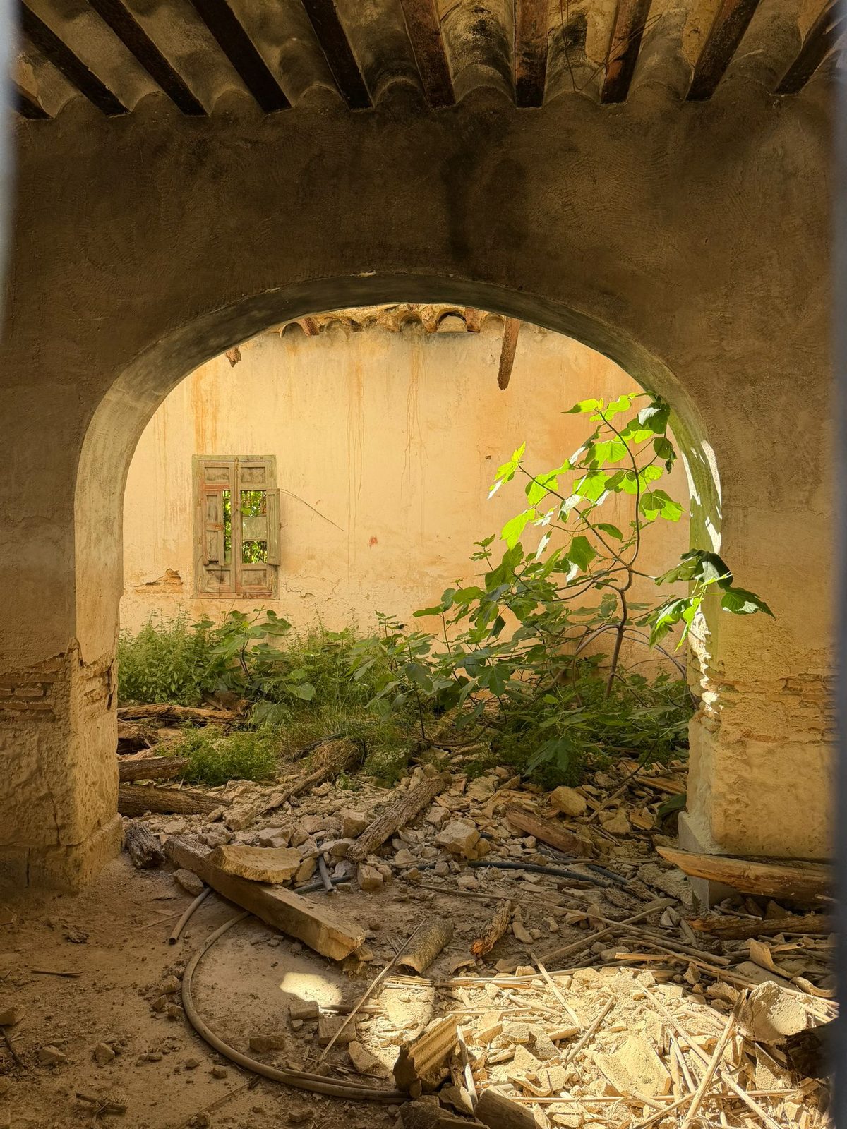 Arco interior de la casa de postas invadido por la vegetación
