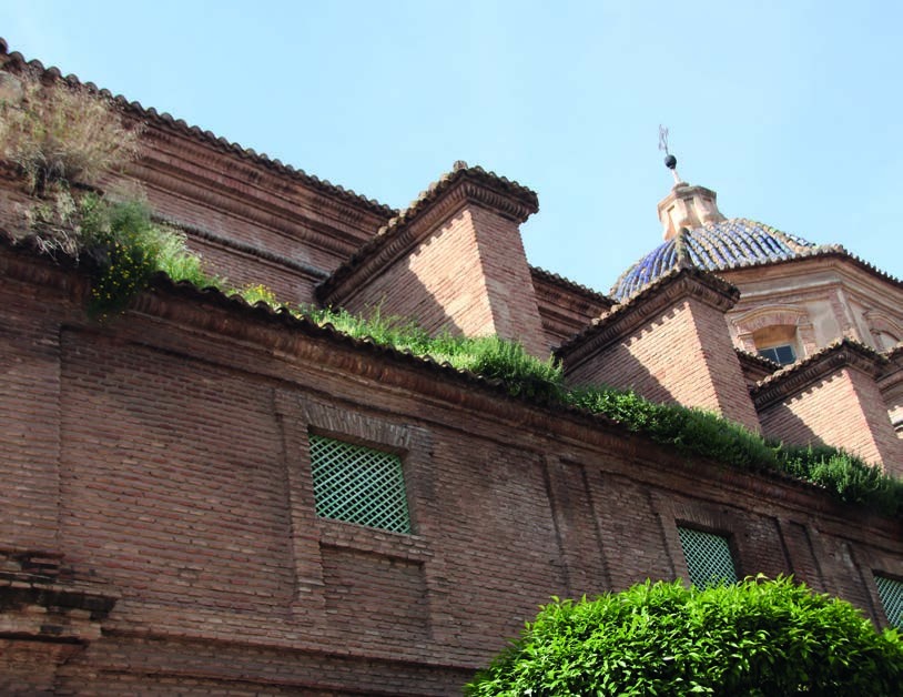 Tejados de la iglesia con malas hierbas y la cúpula al fondo